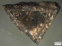 b020a150