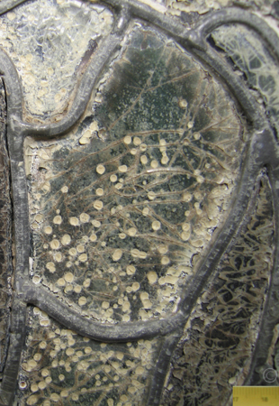 b062a450