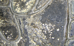 b064a150